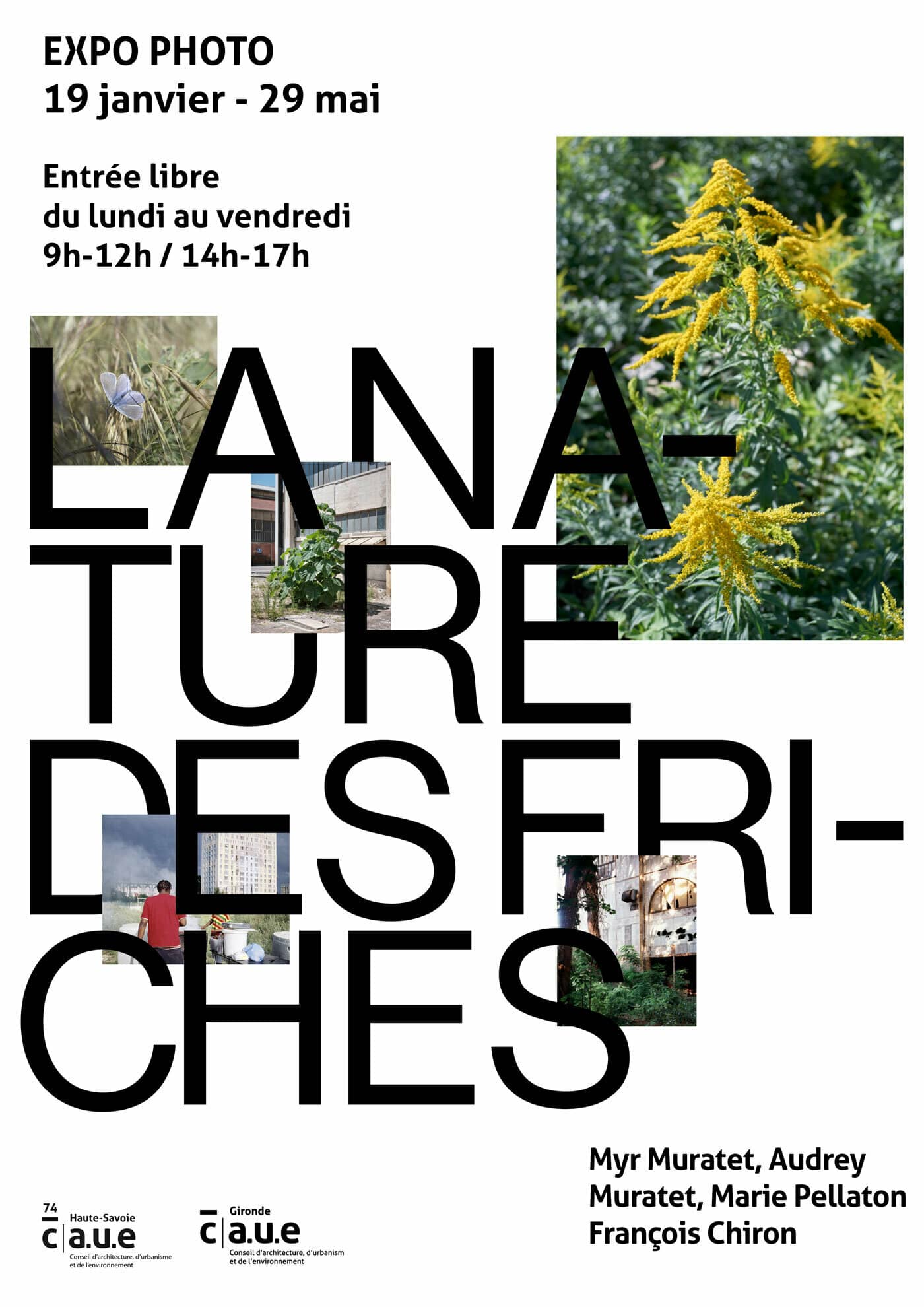 La Nature des Friches