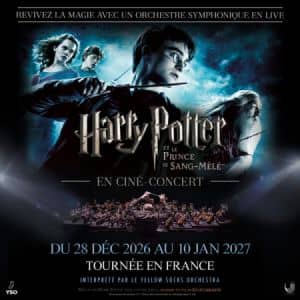 HARRY POTTER ET LE PRINCE DE SANG-MELE