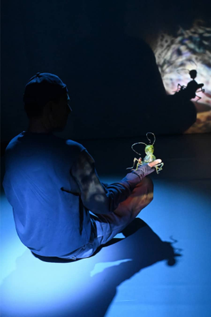 Minimus - Cie Le bruit des ombres